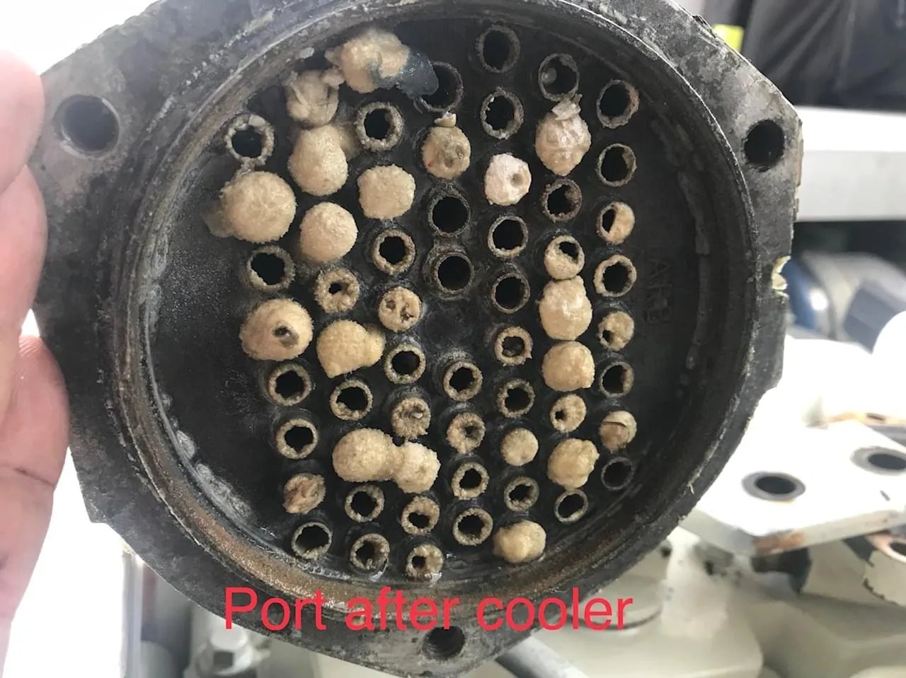 Heat exchanger tube bundle showing heavy salt scale fouling